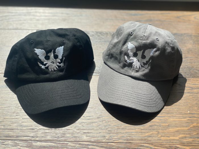 State of Decay skeagle logo hat in black and gray